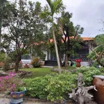 Bán villa sân vườn 2000m² Hàm Liêm, 4,2 tỷ - Ảnh thu nhỏ 2