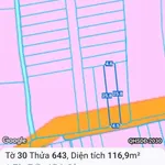 Bán đất 112.5m² ngang 4.5m tại Tân Triều, Đồng Nai - Ảnh thu nhỏ 1