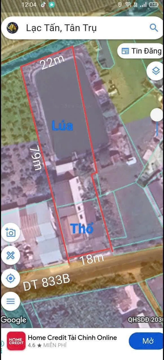 Bán nhà vườn mặt tiền Tỉnh Lộ 833B Tân Trụ 1600m2 - Ảnh thu nhỏ 3