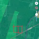Bán 1000m2 đất cây lâu năm sau chợ Bình An, Hàm Chính, giá 389 triệu - Ảnh thu nhỏ 2