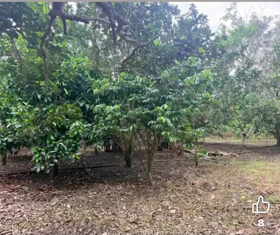 Bán nền đất 600m² Phường Bình Lộc, Long Khánh - Ảnh thu nhỏ 3