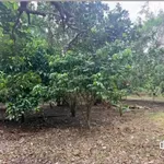 Bán nền đất 600m² Phường Bình Lộc, Long Khánh - Ảnh thu nhỏ 3