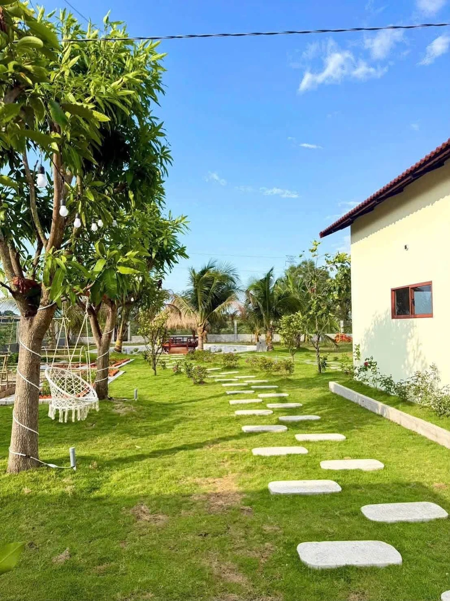Bán vườn 1.600m² với cây ăn trái tại Hàm Chính, Bình Thuận - 1 tỷ 790 - Ảnh thu nhỏ 3