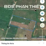 Bán đất 9.550,5 m² Hàm Mỹ, Hàm Thuận Nam - 16 tỷ - Ảnh thu nhỏ 1