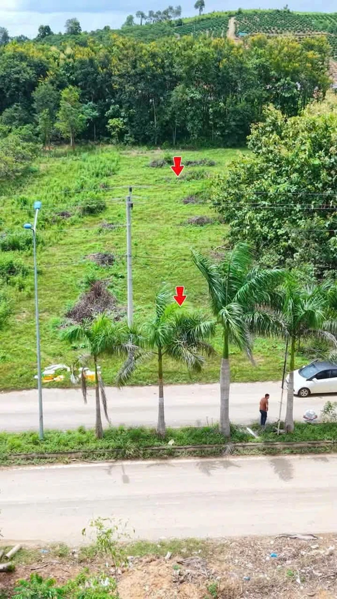 Bán đất 2 mặt tiền 4000m² gần KCN Hòa Phú, Đắk Lắk giá 1,75 tỷ - Ảnh thu nhỏ 3