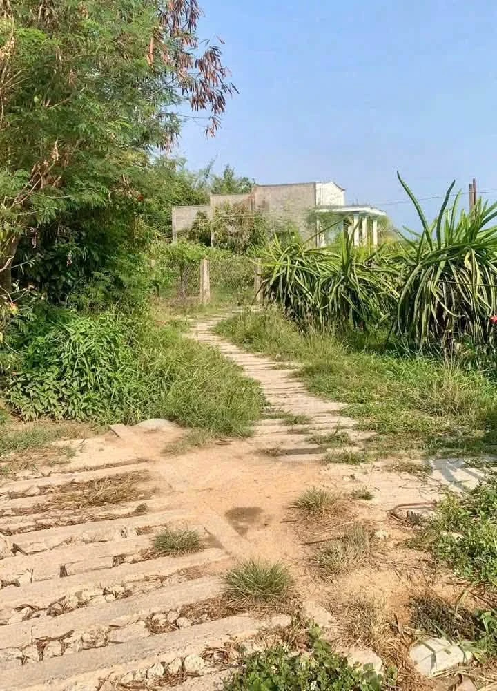 Bán nhà 300m thổ cư Hàm Chính 550 triệu - Ảnh thu nhỏ 3