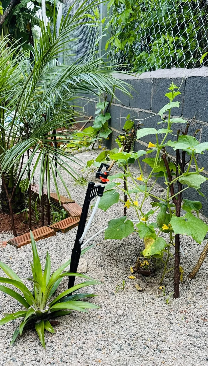 Bán đất 535m2 Tam Long Nhà Bè, 2 mặt tiền, 3 tỷ 200 - Ảnh thu nhỏ 3