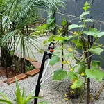 Bán đất 535m2 Tam Long Nhà Bè, 2 mặt tiền, 3 tỷ 200 - Ảnh thu nhỏ 3