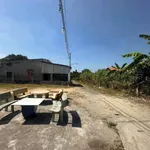 Bán lô đất 2 mặt tiền 200m² xã Long Hải - Ảnh thu nhỏ 2