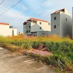 Bán đất nền Thái Hòa 1, 100m², Hải Phòng - Ảnh thu nhỏ 3