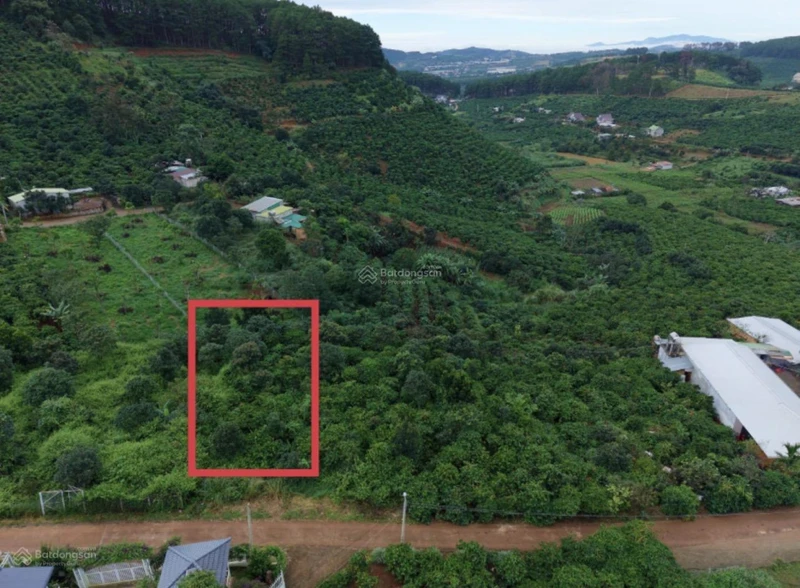 Bán đất vườn, sẵn thổ cư tại Mê Linh ngoại ô Đà Lạt