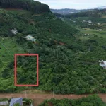 Bán đất vườn, sẵn thổ cư tại Mê Linh ngoại ô Đà Lạt - Ảnh thu nhỏ 1