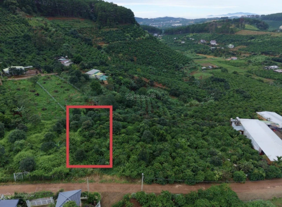 Bán đất vườn, sẵn thổ cư tại Mê Linh ngoại ô Đà Lạt - Ảnh 1