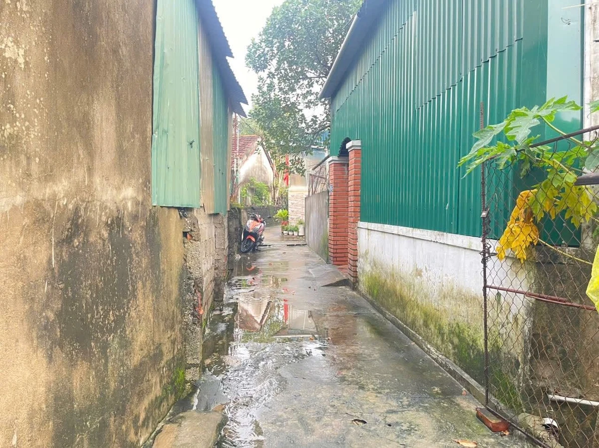 Bán đất xây phòng trọ 70m2 mặt tiền 5m gần Đại Học Vinh - Ảnh 1