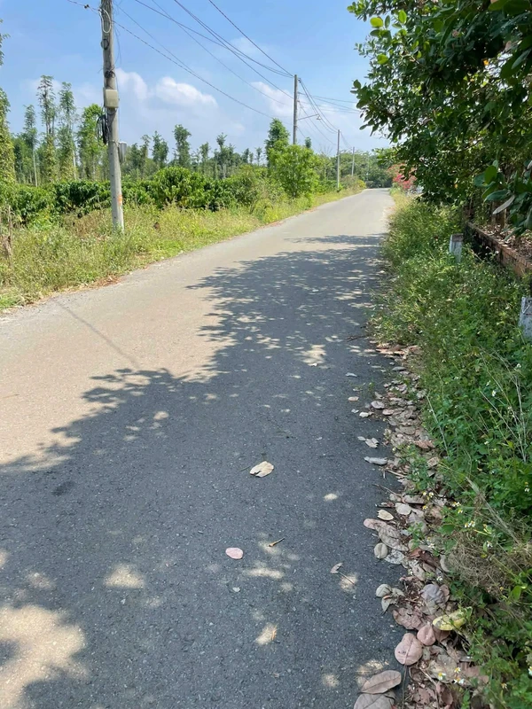 Bán đất lớn 16000m² mặt tiền đường chính Bình Chánh 600 triệu