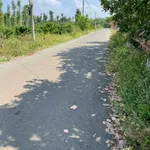 Bán đất lớn 16000m² mặt tiền đường chính Bình Chánh 600 triệu - Ảnh thu nhỏ 1