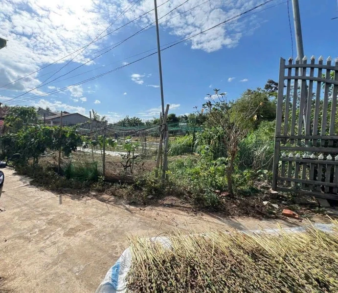 Bán đất tái định cư Cây Đa 40m² 4,82 tỷ Hải Phòng festival