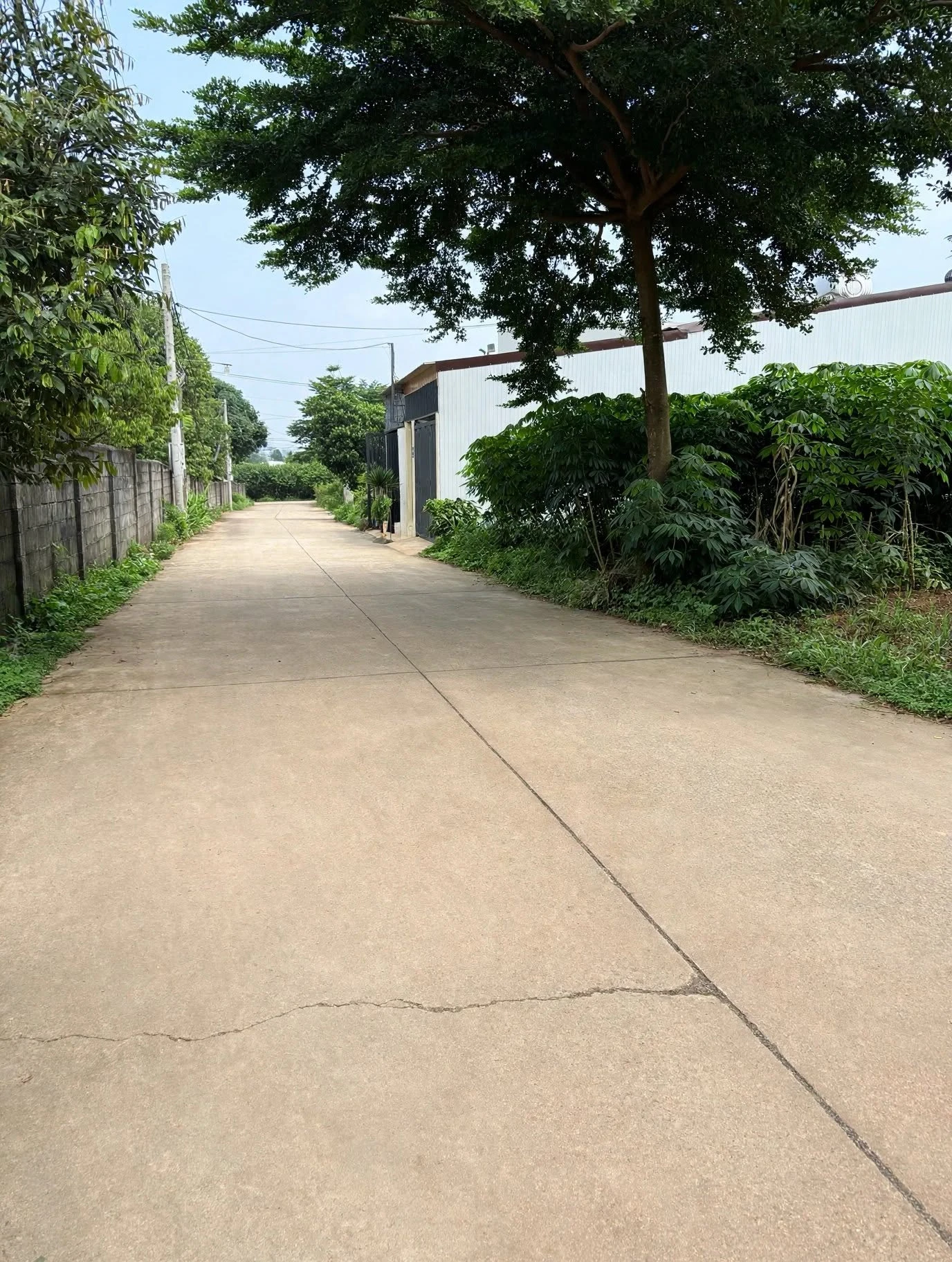 Bán lô góc 2 mặt tiền 105m2 Triệu Quang Phục Buôn Ma Thuột - Ảnh 1