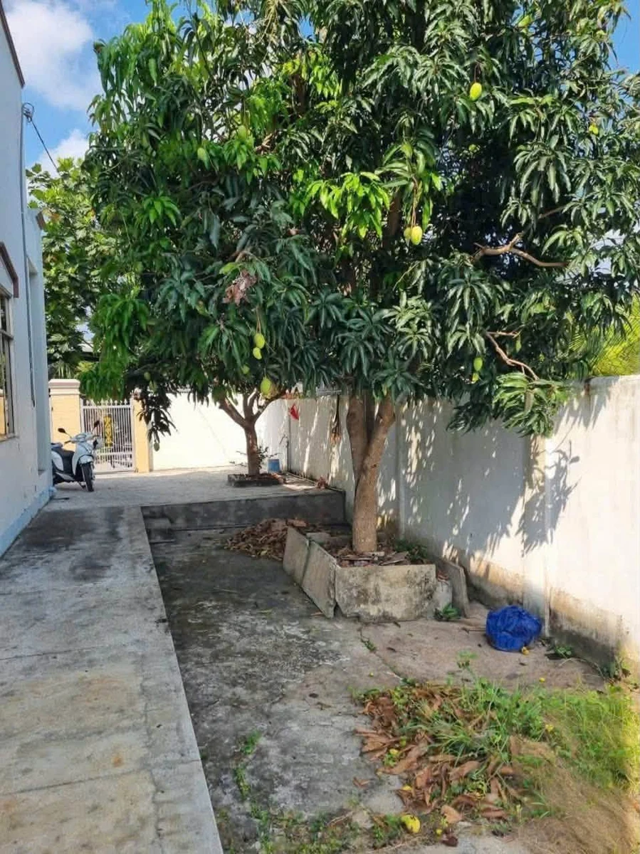 Nhà lầu bán 1 tỷ 2 Phú Hưng Bến Tre 250m² - Ảnh thu nhỏ 5