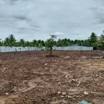 Bán 6 lô đất nền 165m² Long Hưng, Đồng Tháp, 350 triệu/lô - Ảnh thu nhỏ 1