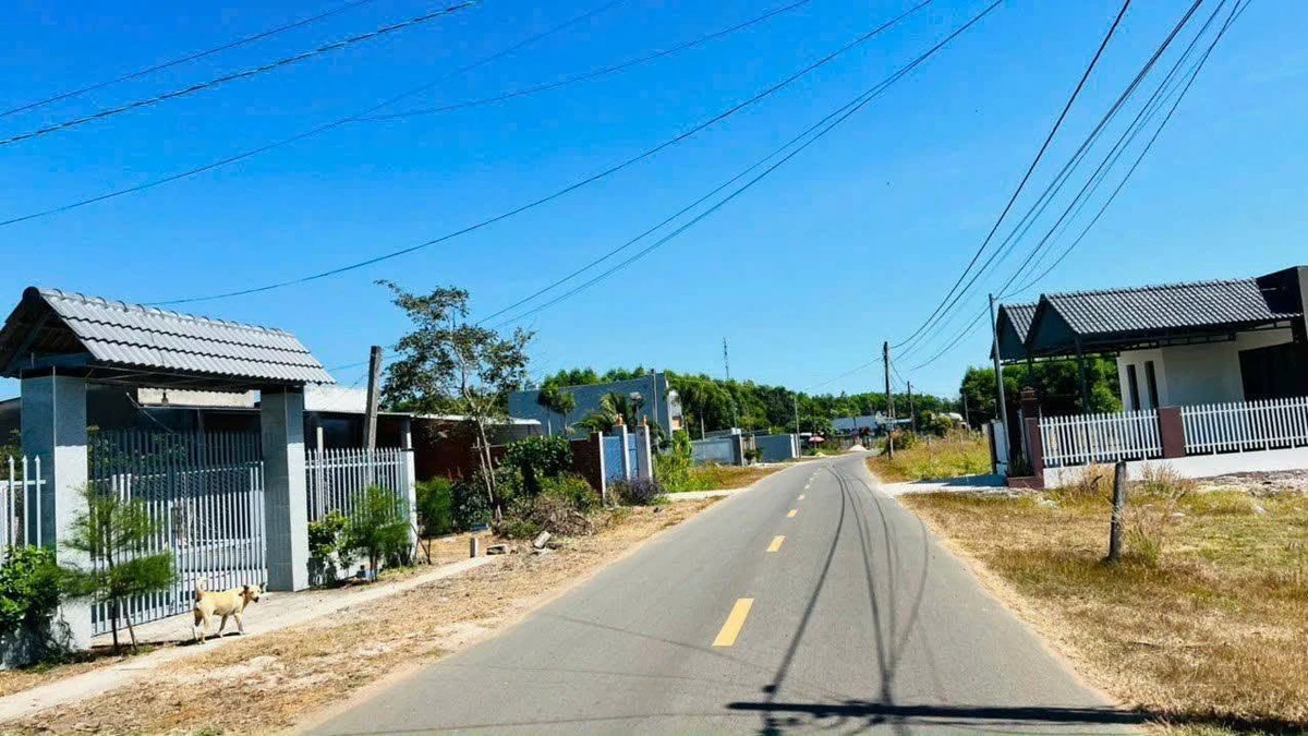 Bán đất mặt tiền Nguyễn Huệ 2000m2 Nhà Bè - Ảnh thu nhỏ 3