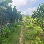 Bán đất 360m² Tân Lạc Hòa Bình 199 triệu - Ảnh thu nhỏ 3