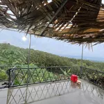 Bán đất vườn view sông La Ngà 1.500m², giá 367 triệu/500m², Đồng Nai - Ảnh thu nhỏ 4