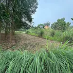 Bán lô đất 135m2 (50m2 thổ cư) giá hơn 600 triệu tại Khu 5, Hạ Hòa, Phú Thọ - Ảnh thu nhỏ 3