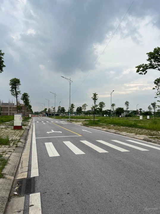 Bán nhanh lô đất chính chủ sẵn sổ mặt QL31 giá thương lượng cho khách thiện chí cần kết hợp sale - Ảnh thu nhỏ 3