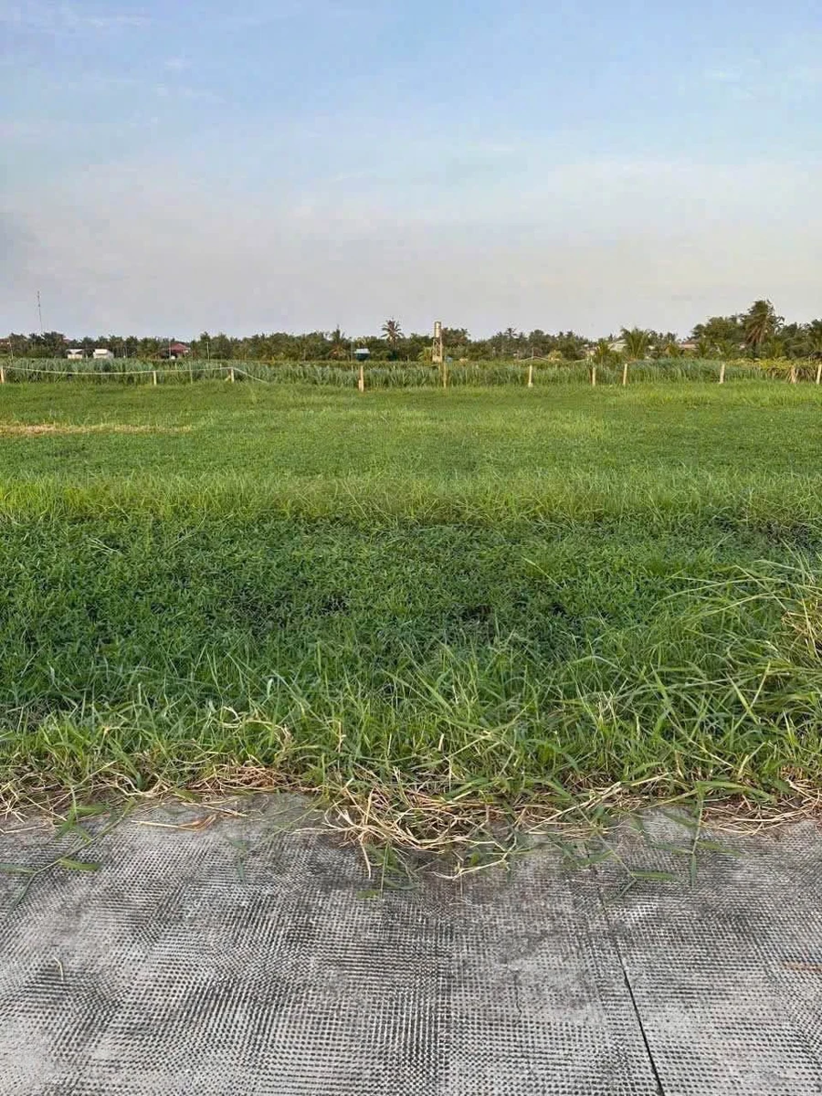 Bán đất 200m² full thổ cư Tây Ninh 460 triệu - Ảnh thu nhỏ 2