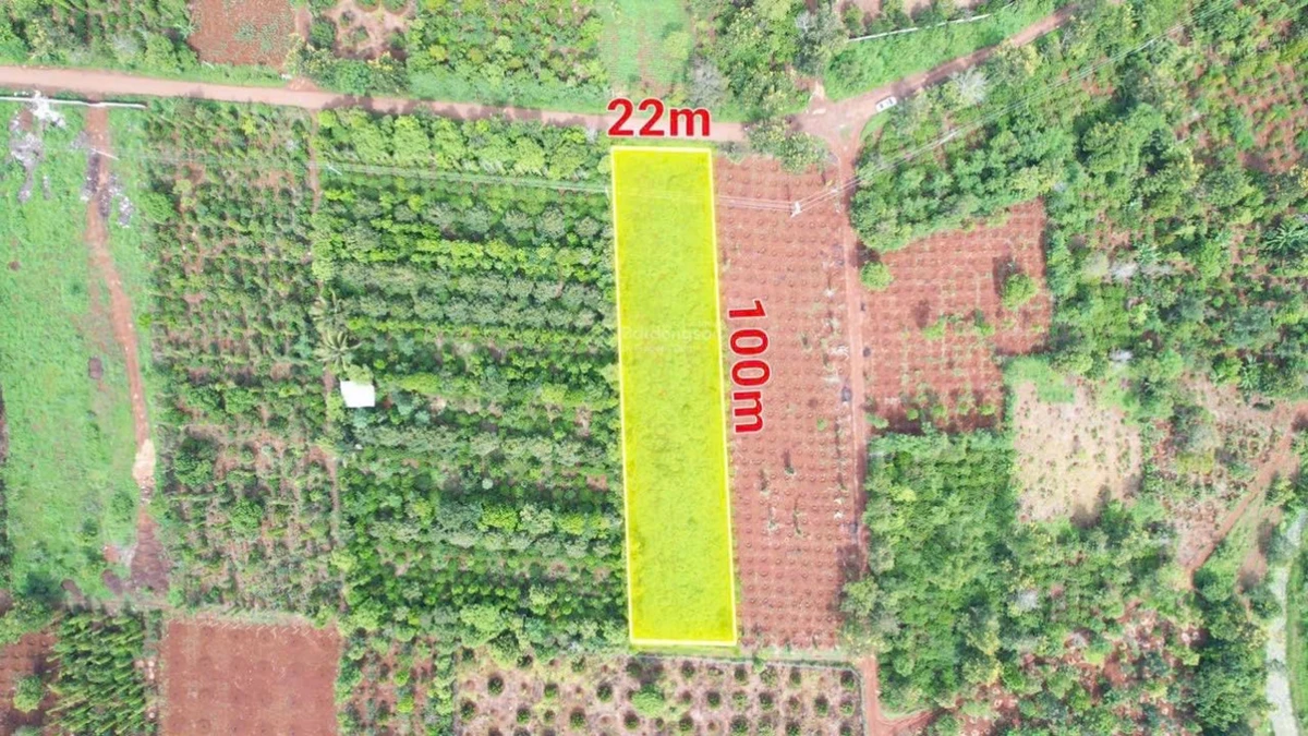 2,1 sào mặt tiền đường nhựa Vành Đai km18 nối tuyến QL14-QL26 2,73 tỷ - Ảnh 1