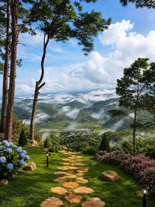 Đất gần trung tâm Măng Đen giá khá tốt ạ - Ảnh thu nhỏ 5