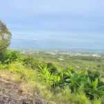 Bán đất vườn 1.000m² La Ngà, Đồng Nai - Ảnh thu nhỏ 5