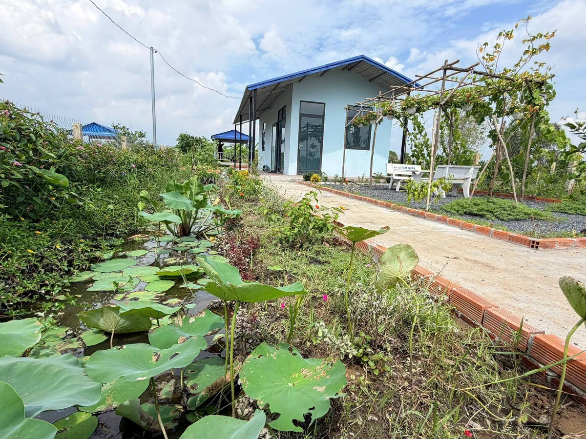 Bán nhà vườn 540m² giá 950 triệu Thủ Thừa, Long An - Ảnh 1
