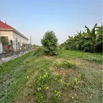 Bán đất 18 x 66.75m (1201.5m²) Phường Long An, Tân An, Long An - Ảnh thu nhỏ 4