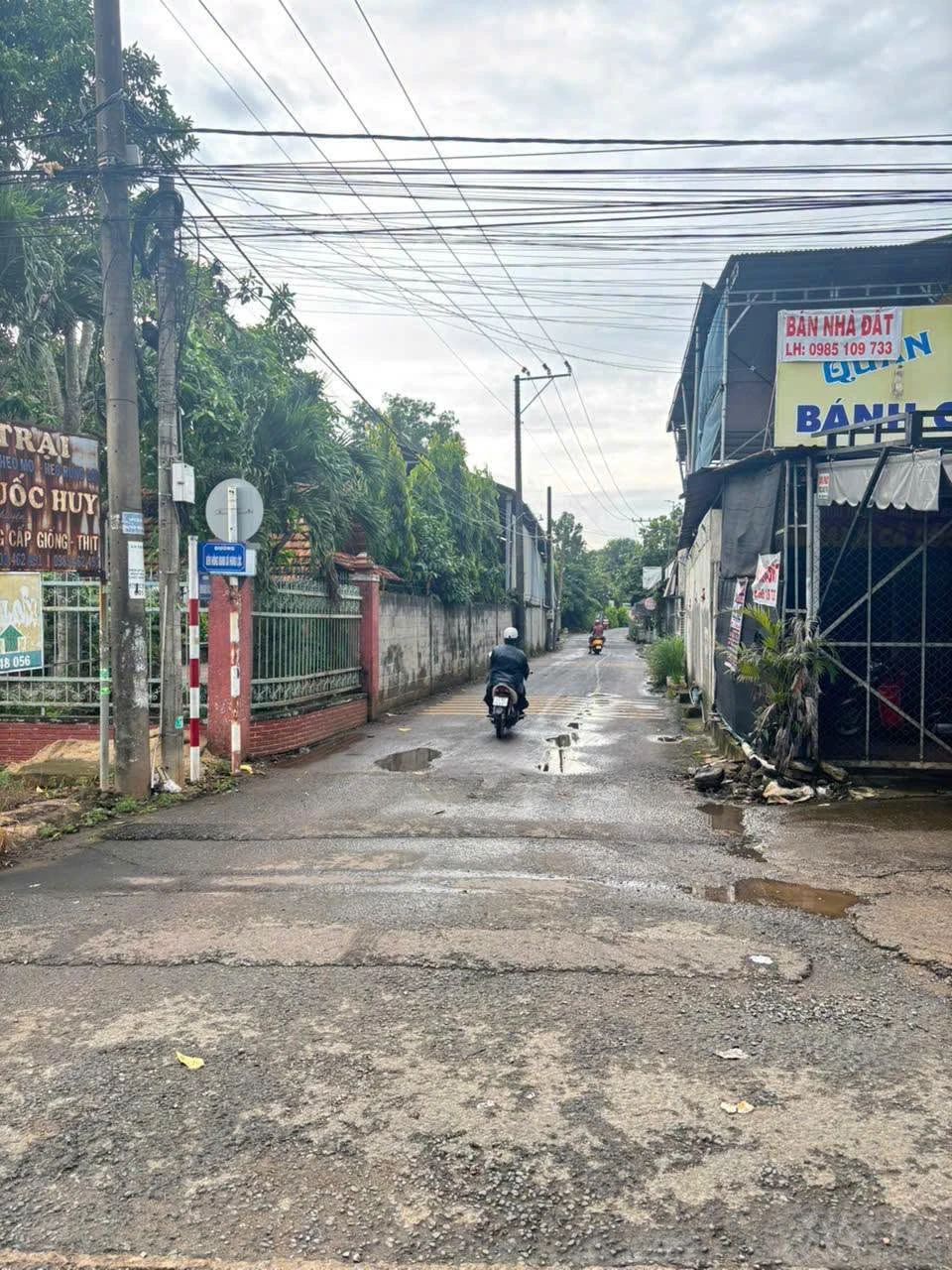Bán nhà vườn 8061 m² Hưng Lộc Thống Nhất 4 tỷ 4 - Ảnh 1