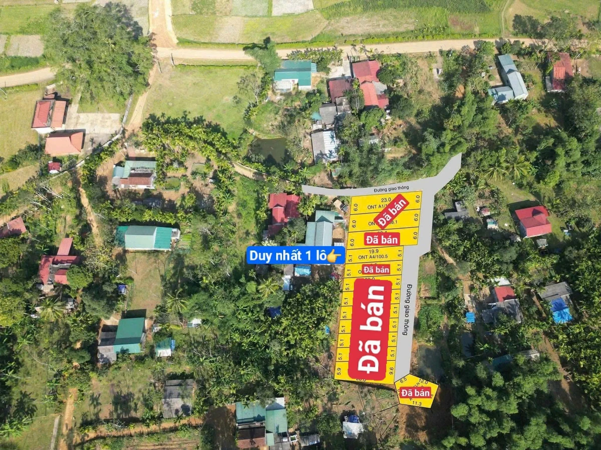Bán lô đất 100.5m² full thổ cư Ngọc Lặc Thanh Hóa - Ảnh thu nhỏ 4