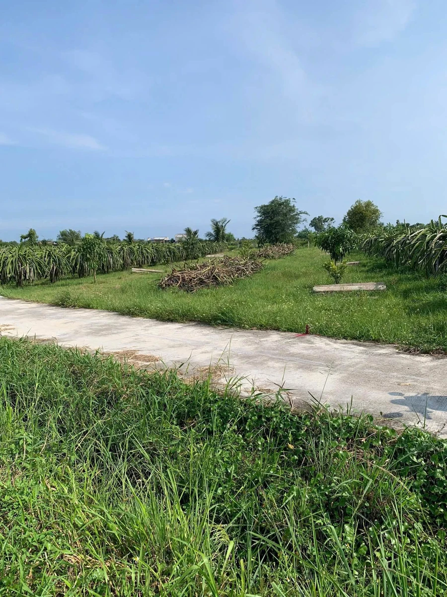 Bán đất vườn 839m² Hàm Liêm gần Phan Thiết, sổ hồng, 420 triệu - Ảnh thu nhỏ 3
