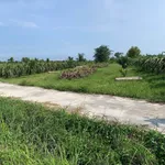 Bán đất vườn 839m² Hàm Liêm gần Phan Thiết, sổ hồng, 420 triệu - Ảnh thu nhỏ 3