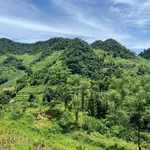 Bán đất du lịch 5857m2 tại Mai Châu, Hòa Bình 5 tỷ - Ảnh thu nhỏ 2
