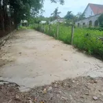 Bán lô đất vườn An Điền 1.465m² giá 2 tỷ 850 - Ảnh thu nhỏ 4