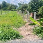 Bán đất nền 150m2 tại Tây Ninh 209 triệu - Ảnh thu nhỏ 3