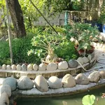 Bán đất Phú Hưng Bến Tre 530m2 1 tỷ 250 triệu - Ảnh thu nhỏ 5