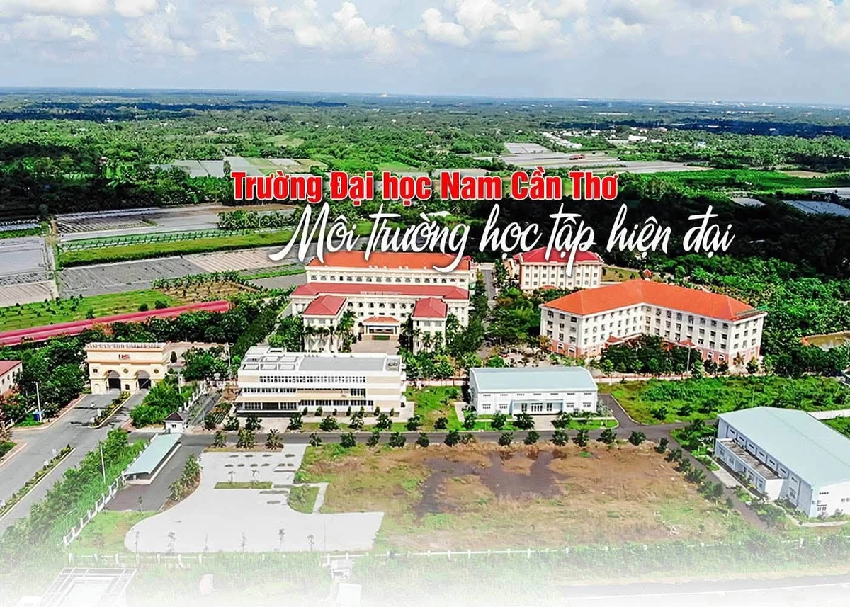 Bán 2 nền đất thổ cư 4x22m xây trọ cho thuê Cần Thơ 2 tỷ 500 - Ảnh thu nhỏ 3
