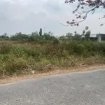 Bán đất mặt tiền Tân Thạnh Đông Củ Chi 7200m2 - Ảnh thu nhỏ 4