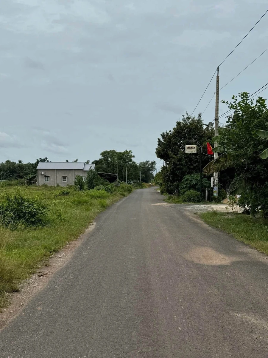 Bán đất xây trọ 5x75m đường Số 41 Thành Tâm, Chơn Thành - Ảnh thu nhỏ 4