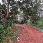 Bán ~6,6ha đất ven hồ trung tâm TP Gia Nghĩa - Ảnh thu nhỏ 2