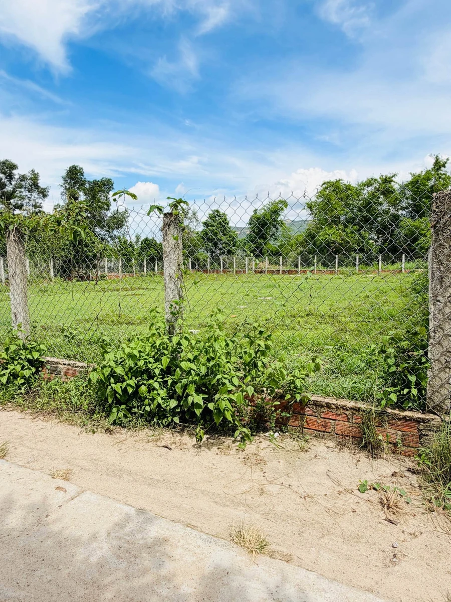 Bán đất 1000m2 tại Bình An 2, Tuy Phước Tây, Bình Dương - Ảnh 1