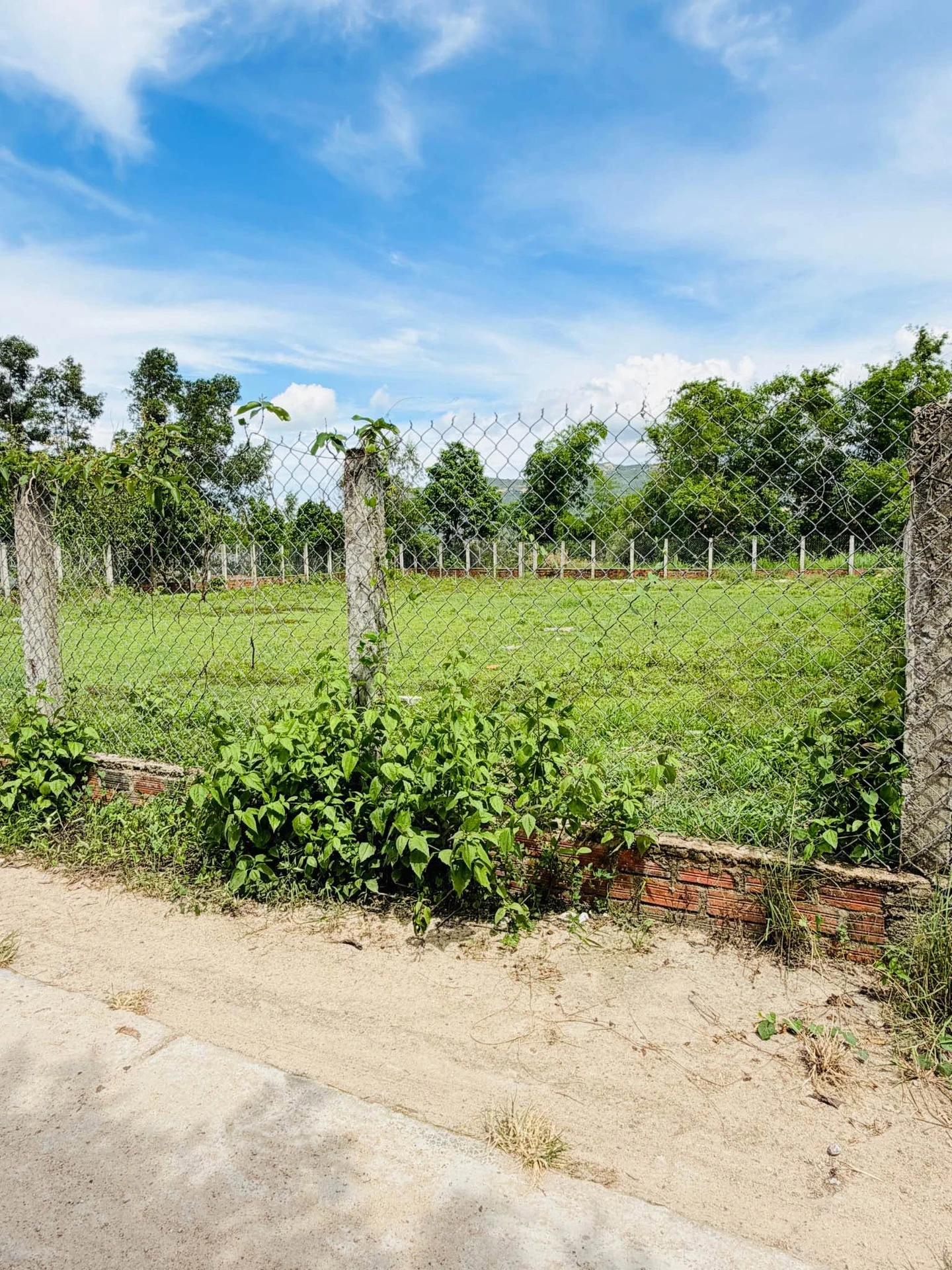 Bán đất 1000m2 tại Bình An 2, Tuy Phước Tây, Bình Dương - Ảnh 1