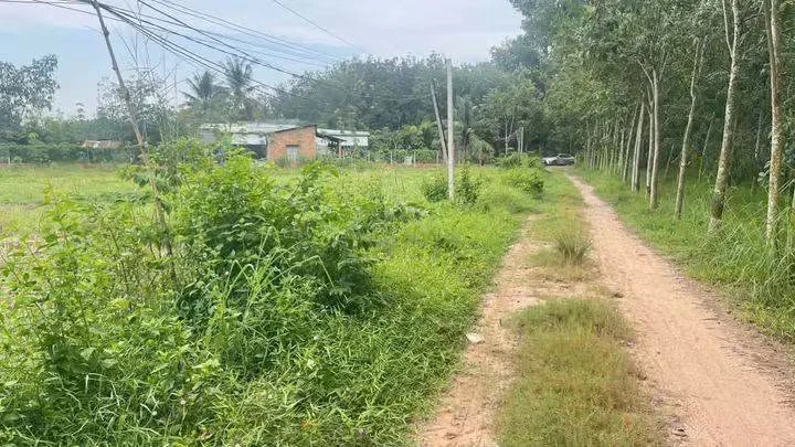 Bán đất cao su mặt tiền 3.5 công Tây Ninh - Ảnh thu nhỏ 2